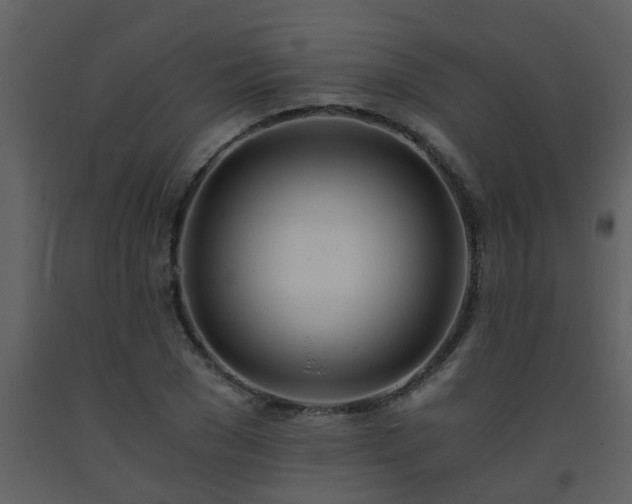X0000093570977200710221439