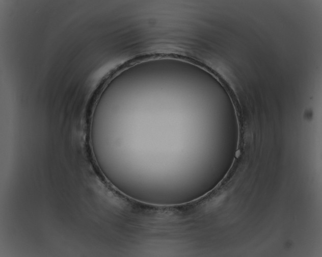 X0000093570979200710221439