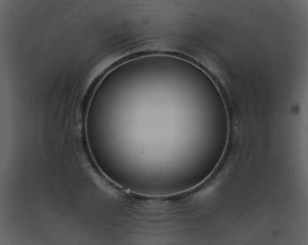 X0000093570981200710221439