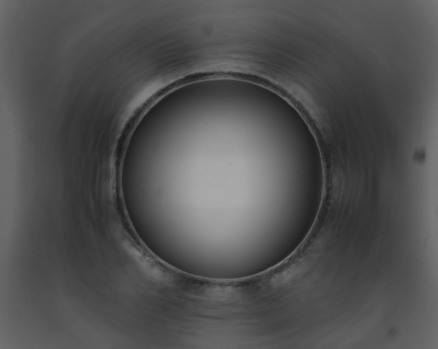 X0000093570982200710221439