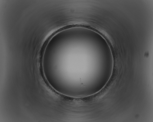 X0000093570983200710221439