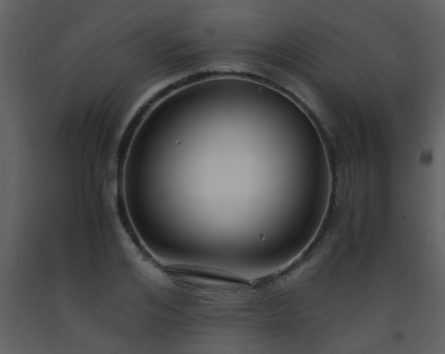 X0000093570984200710221439