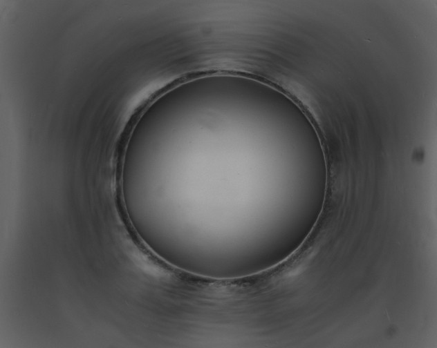 X0000093570987200710221439
