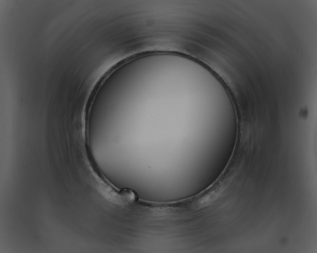 X0000093570988200710221439