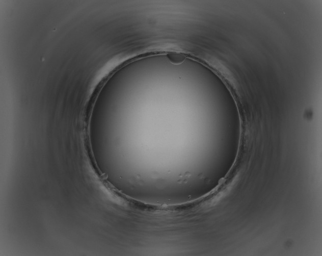 X0000093570989200710221439