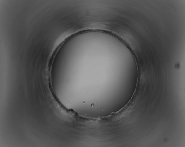 X0000093570990200710221439