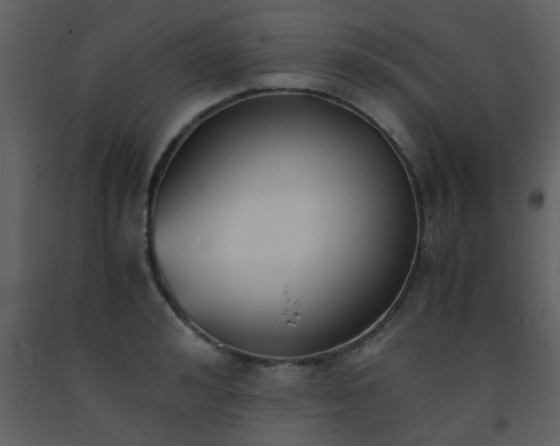 X0000093570992200710221439