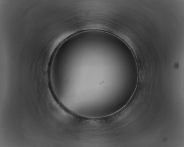 X0000093570995200710221439