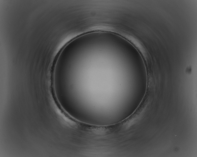 X0000093570999200710221439