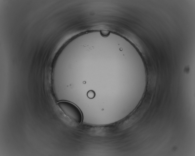 X0000093571000200710221439
