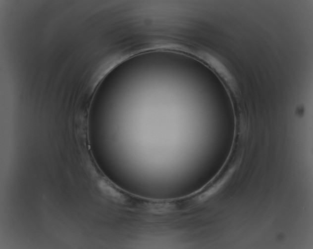 X0000093571001200710221439
