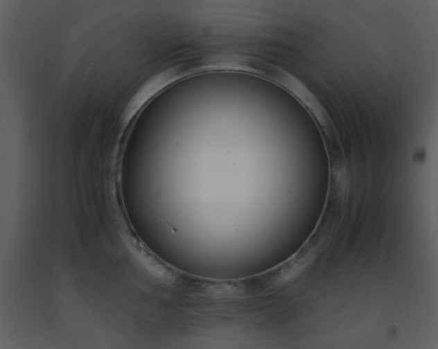 X0000093571002200710221439