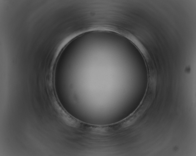 X0000093571004200710221439