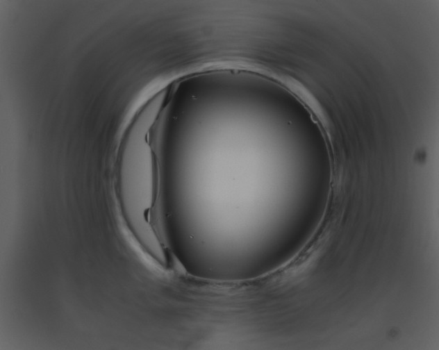 X0000093571005200710221439