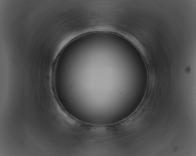 X0000093571006200710221439