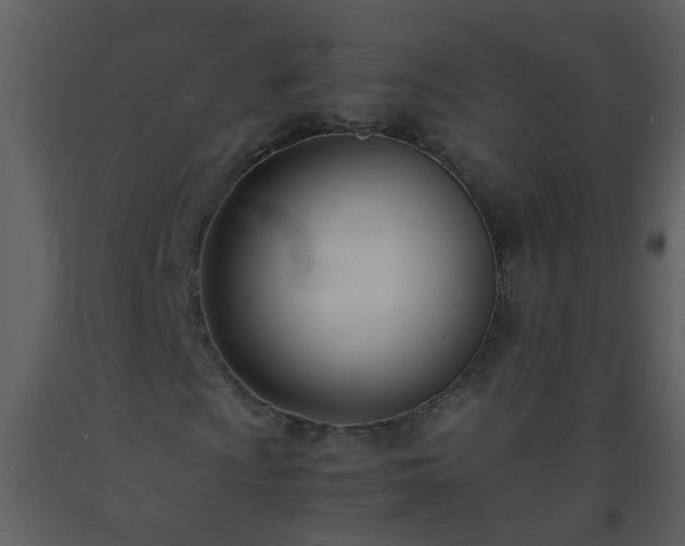 X0000093571009200710221438