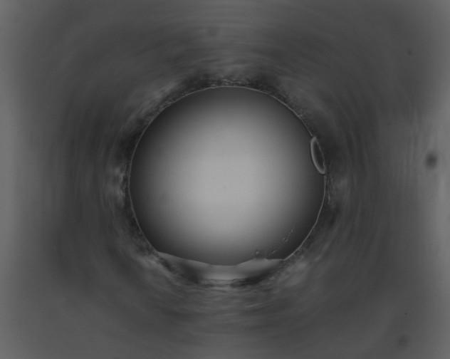 X0000093571010200710221438