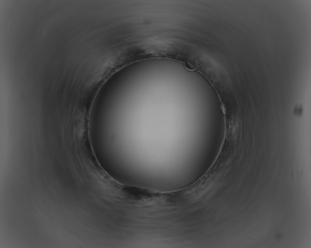 X0000093571012200710221438