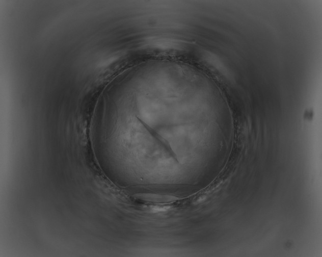 X0000093571013200710221438