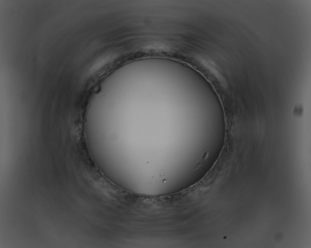 X0000093571015200710221438