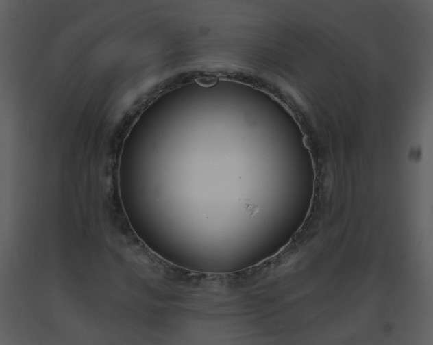 X0000093571016200710221438