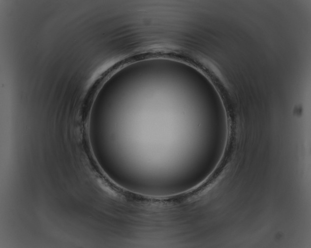 X0000093571018200710221438
