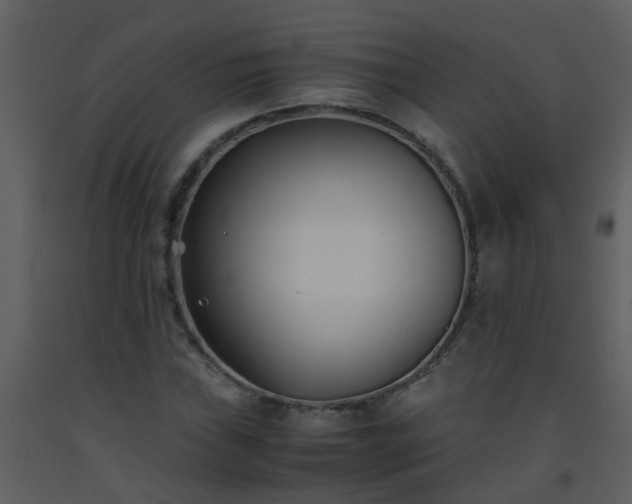 X0000093571019200710221438