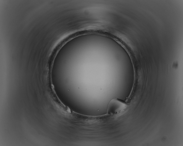 X0000093571021200710221438