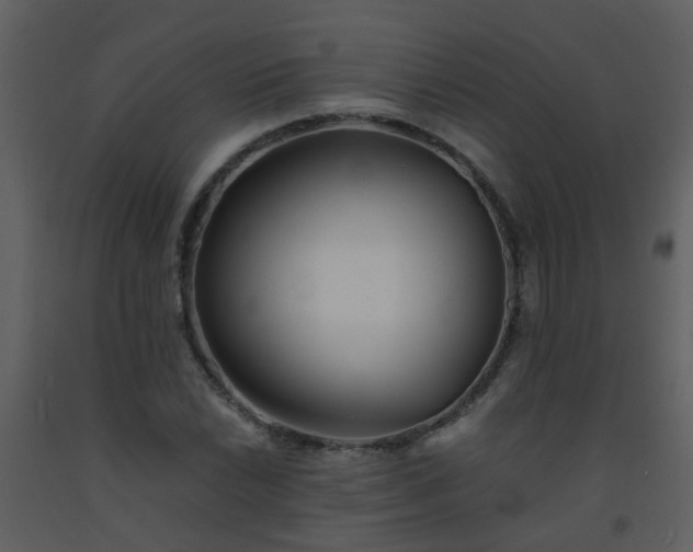 X0000093571022200710221438