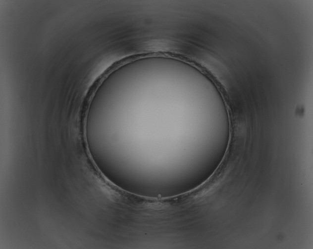 X0000093571023200710221438