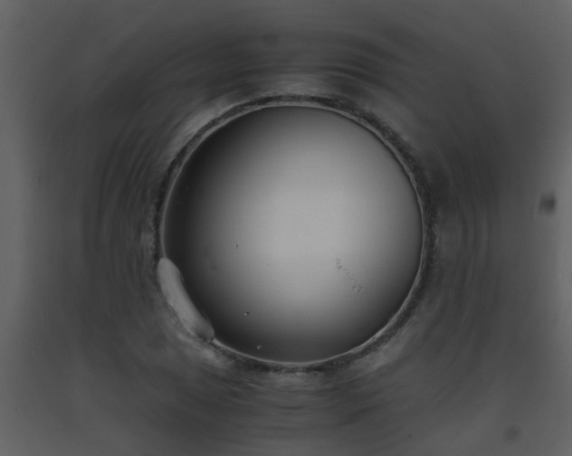 X0000093571025200710221438