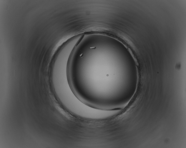 X0000093571026200710221439