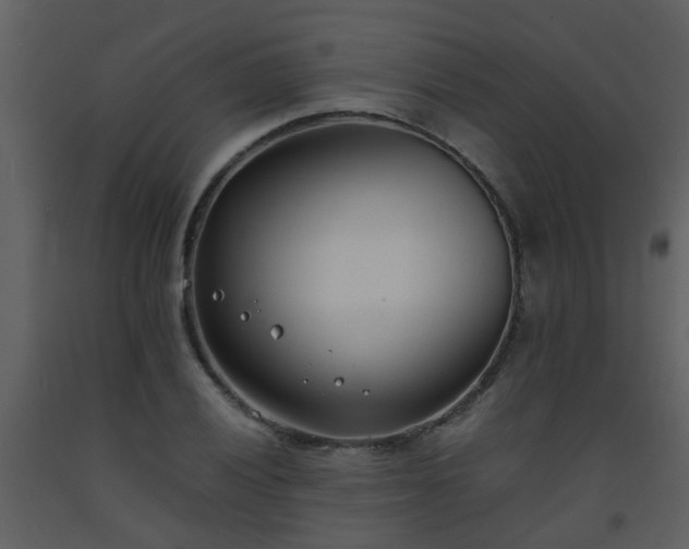 X0000093571028200710221439