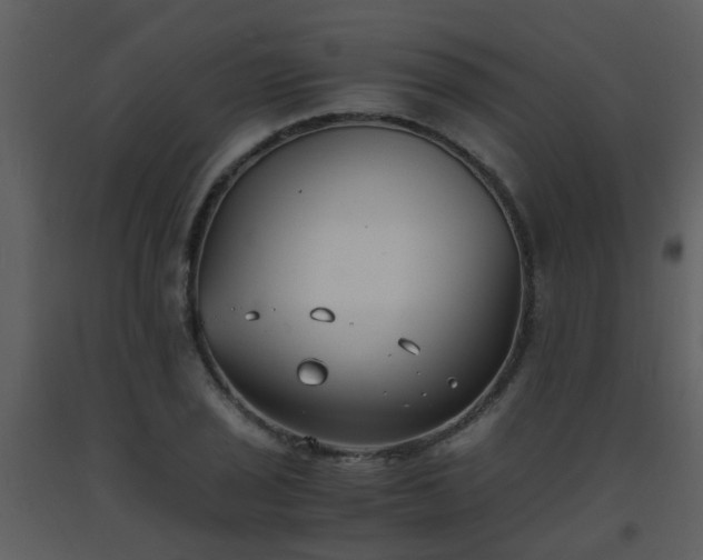 X0000093571029200710221439