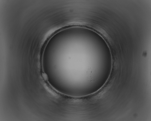 X0000093571030200710221439