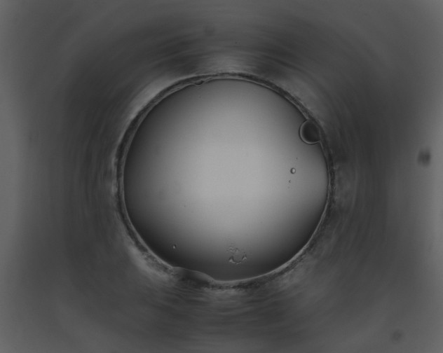 X0000093571031200710221439