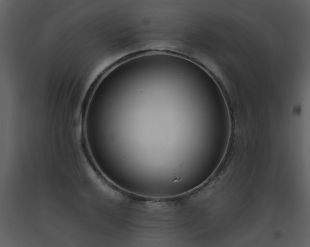X0000093571032200710221439