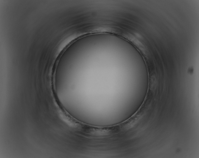 X0000093571039200710221439