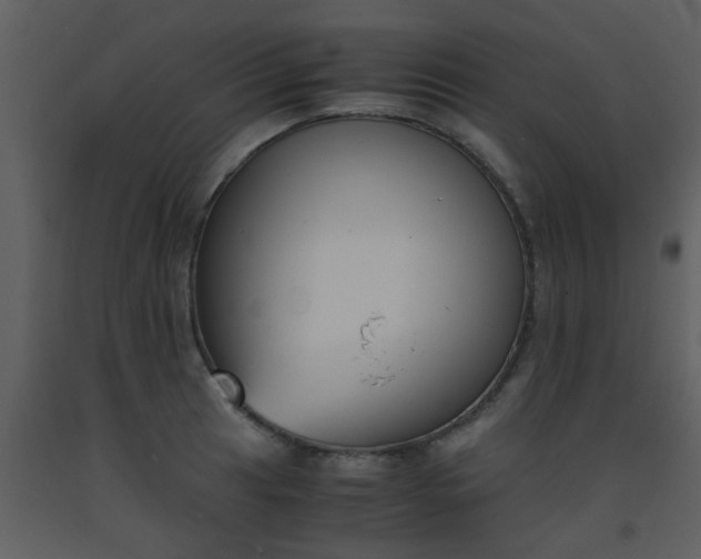 X0000093571041200710221439