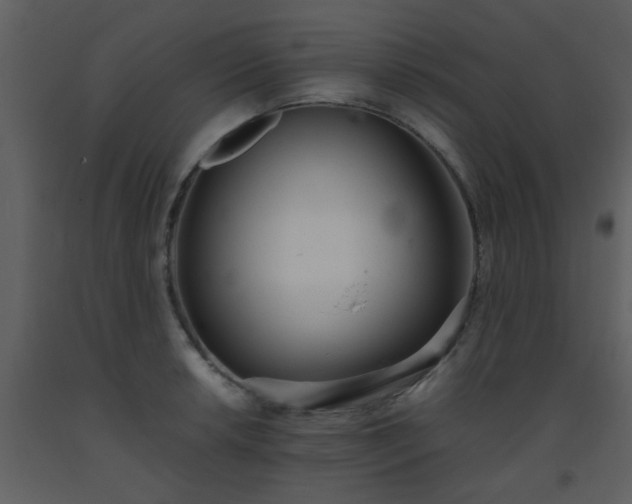 X0000093571042200710221439