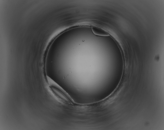 X0000093571045200710221439