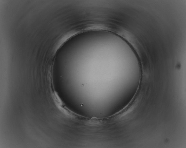 X0000093571049200710221439