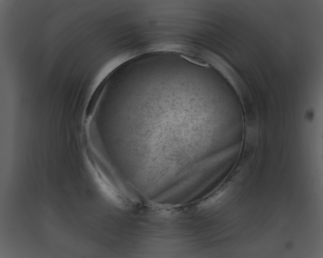 X0000093571050200710221439