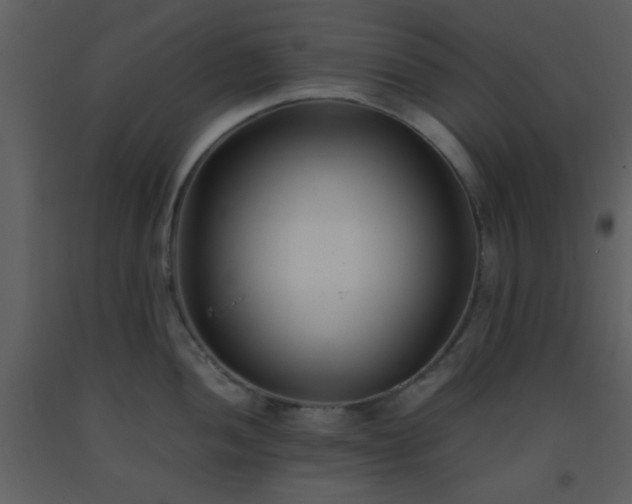X0000093571052200710221439