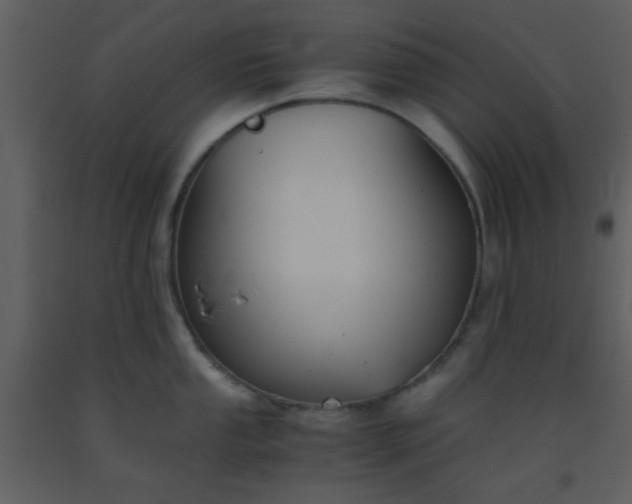 X0000093571053200710221439