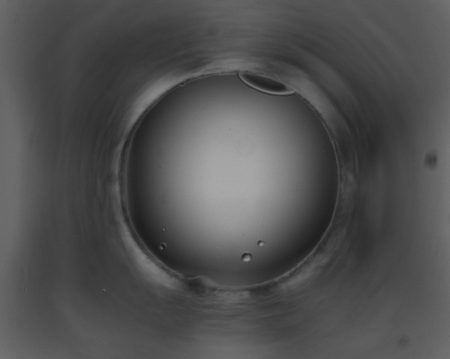 X0000093571055200710221439