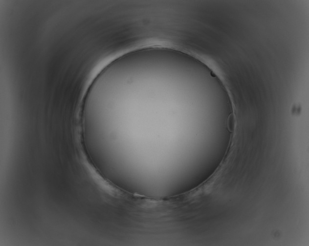 X0000093571056200710221439