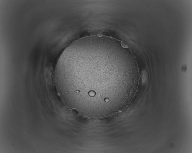 X0000093571059200710221438