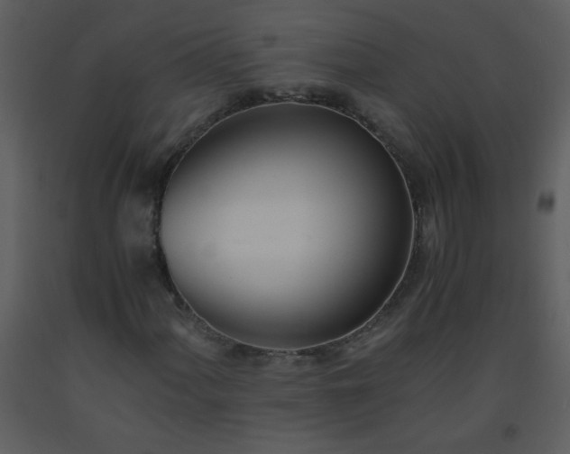 X0000093571060200710221438