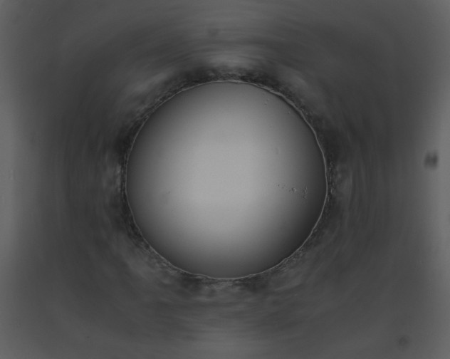 X0000093571061200710221438